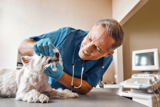 Best Emergency Wisdom Teeth Removal in Euclid, OH